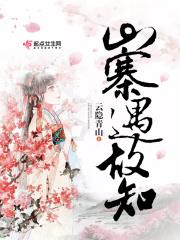 山寨的什么意思