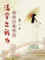 清穿之我成了四爷外室