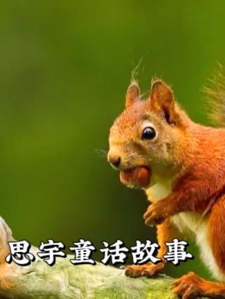 思宇童话故事在线阅读