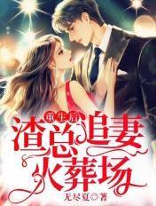 渣总追妻火葬场 txt