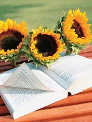 重生反应迟钝新娘