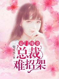 豪门辣妻不能惹