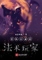 霍格沃兹的法术玩家 咸言碎语