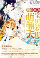 顾家家居和掌上明珠哪个好